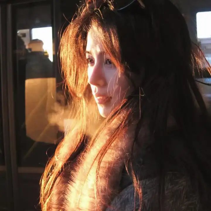 王冠的游戏:都铎家族